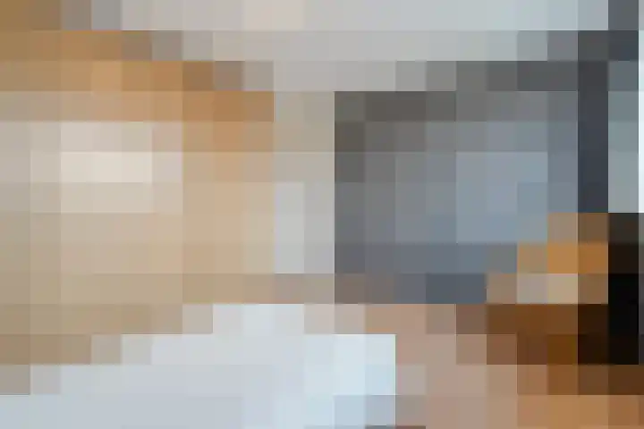 Heemsteres 57 Den Ham thumbnail 30