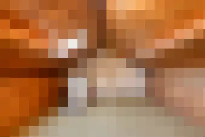 Heemsteres 57 Den Ham thumbnail 33