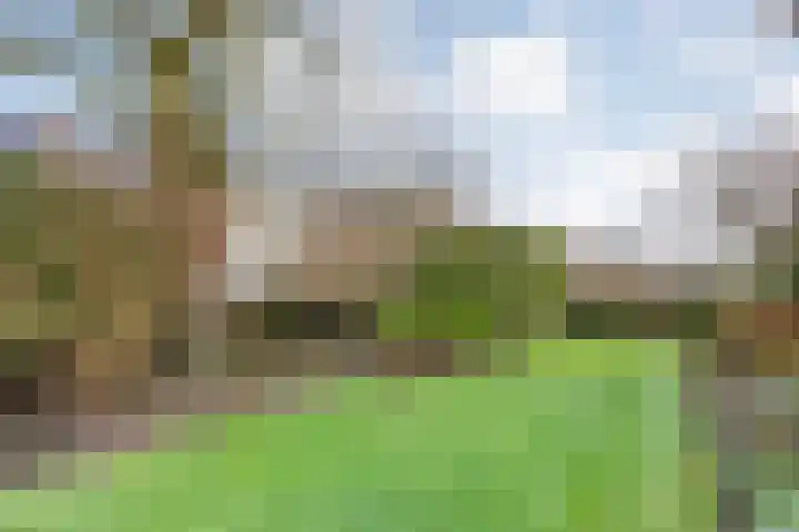 Heemsteres 57 Den Ham thumbnail 35