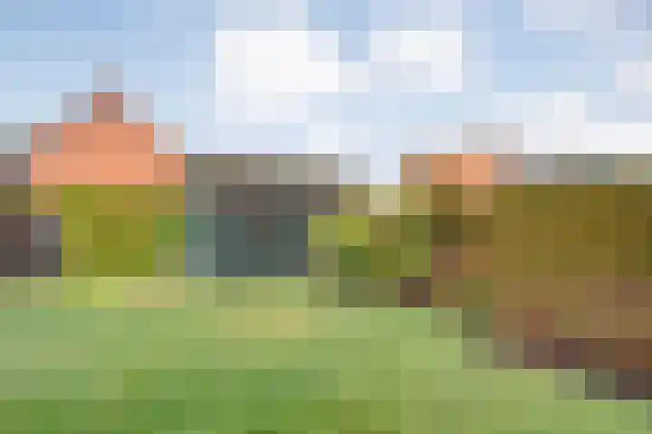 Heemsteres 57 Den Ham thumbnail 36