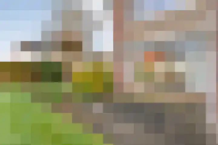 Heemsteres 57 Den Ham thumbnail 37