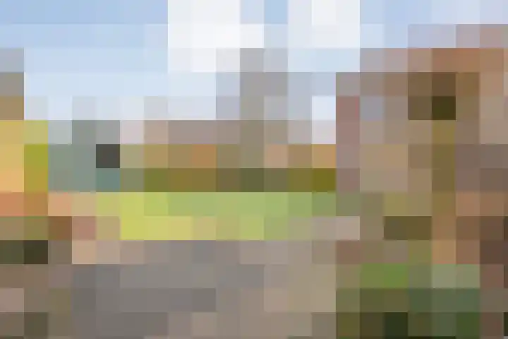 Heemsteres 57 Den Ham thumbnail 38