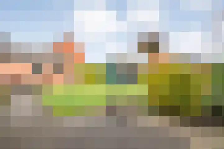 Heemsteres 57 Den Ham thumbnail 39