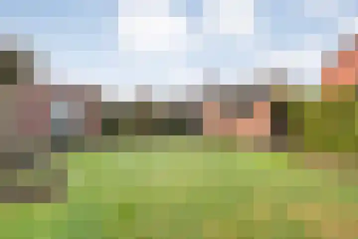 Heemsteres 57 Den Ham thumbnail 42
