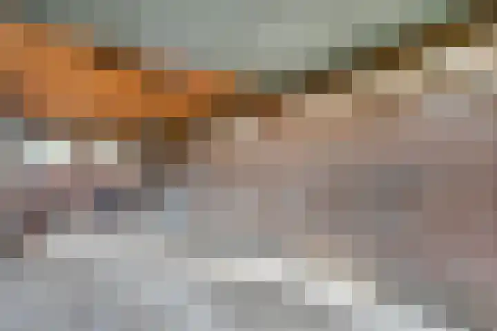 Heemsteres 57 Den Ham thumbnail 44