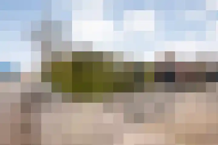 Heemsteres 57 Den Ham thumbnail 45