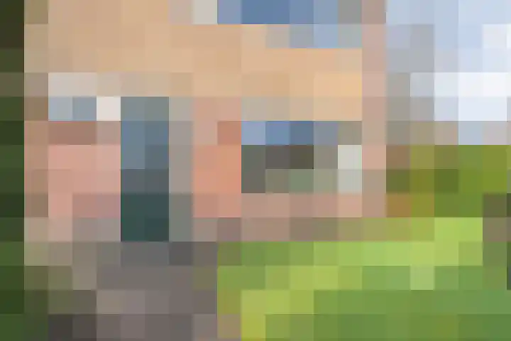 Heemsteres 57 Den Ham thumbnail 5