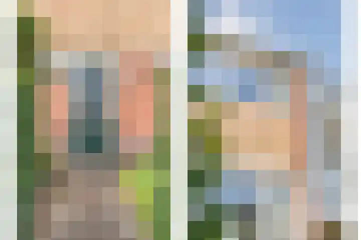 Heemsteres 57 Den Ham thumbnail 8