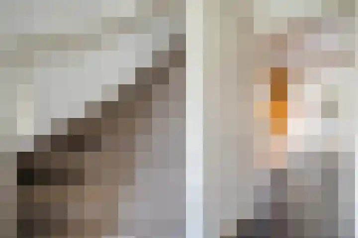 Heemsteres 57 Den Ham thumbnail 9