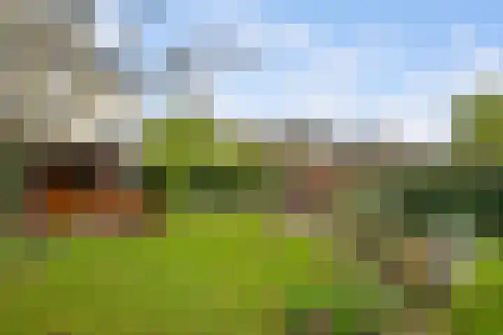 Heemtuin 18 Bleiswijk thumbnail 19