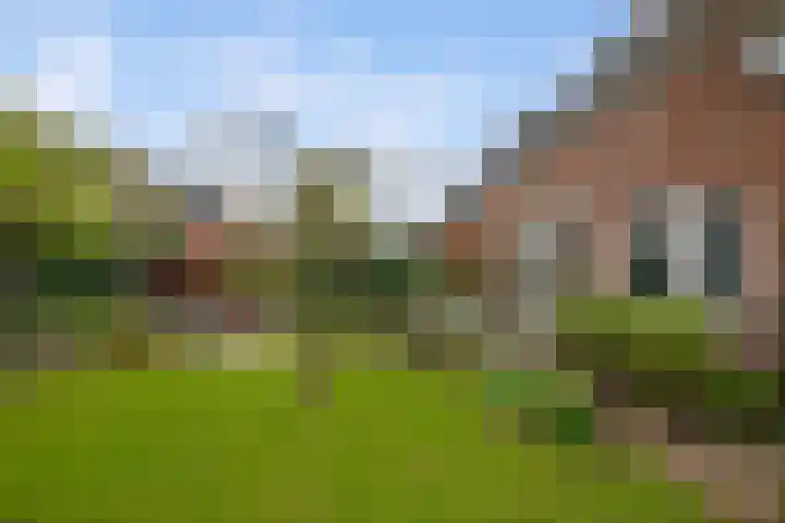 Heemtuin 18 Bleiswijk thumbnail 20