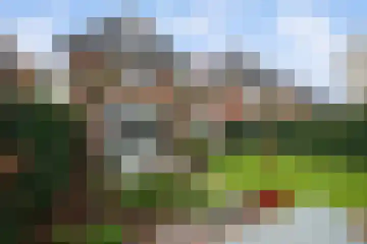 Heemtuin 18 Bleiswijk thumbnail 22