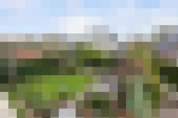 Heemtuin 18 Bleiswijk thumbnail 31