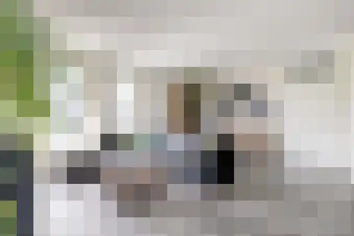 Heemwerf 62 De Lier thumbnail 10