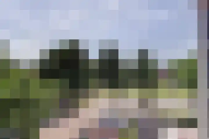 Heemwerf 62 De Lier thumbnail 23