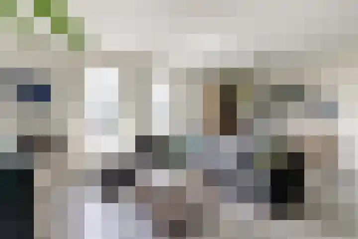 Heemwerf 62 De Lier thumbnail 9