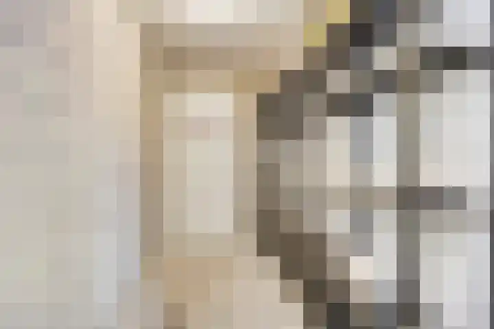 Heemwerf 74 De Lier thumbnail 14