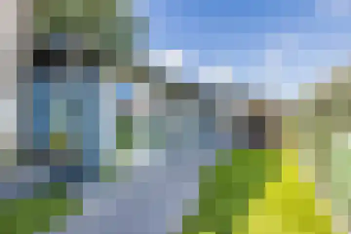 Heensedijk 37 De Heen thumbnail 38