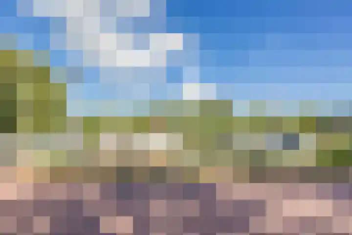 Heensedijk 37 De Heen thumbnail 49