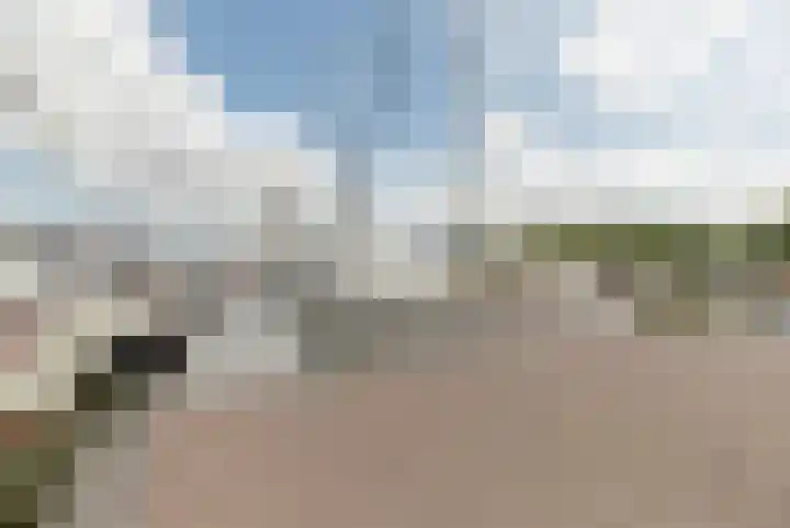 Heensedijk 37 De Heen thumbnail 51