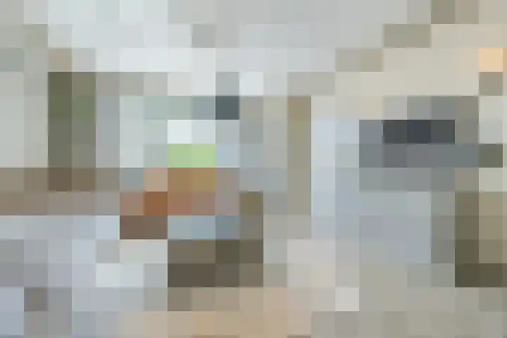 Heensedijk 37 De Heen thumbnail 7
