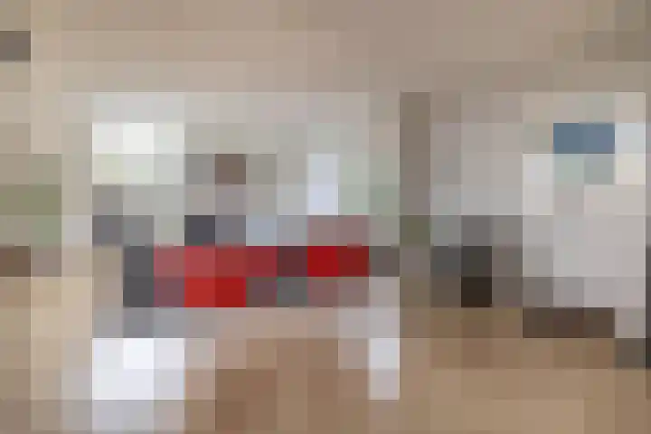 Heer Dickbierweg 57 Mierlo thumbnail 12