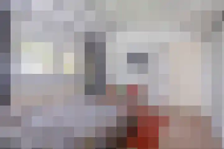 Heer Dickbierweg 57 Mierlo thumbnail 26