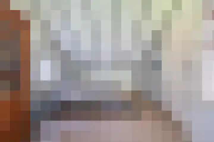 Heer Dickbierweg 57 Mierlo thumbnail 28