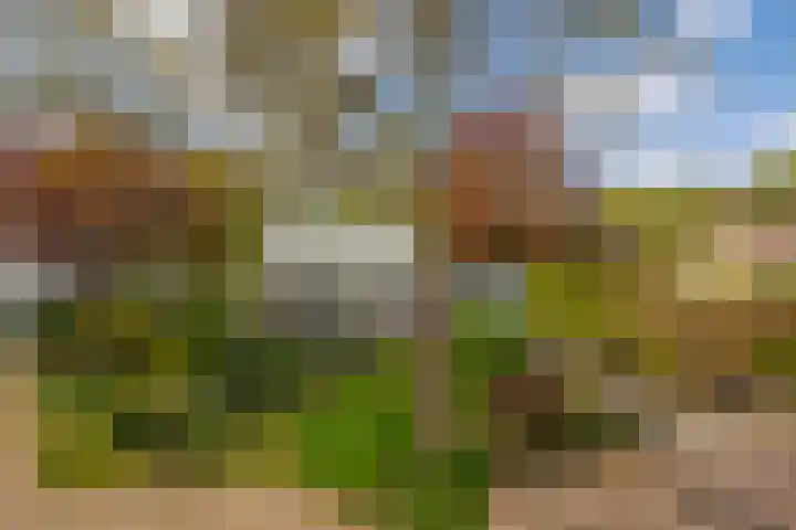 Heer Dickbierweg 57 Mierlo thumbnail 31