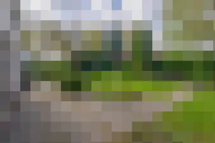 Heer Dickbierweg 57 Mierlo thumbnail 33