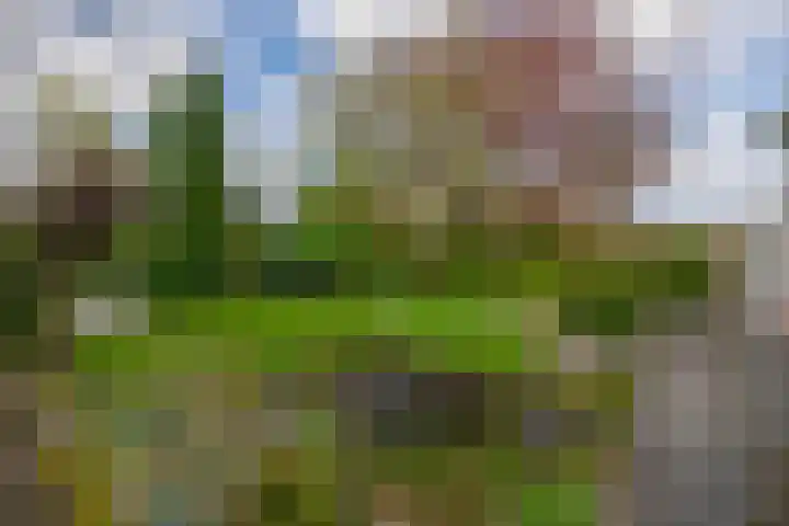 Heer Dickbierweg 57 Mierlo thumbnail 37