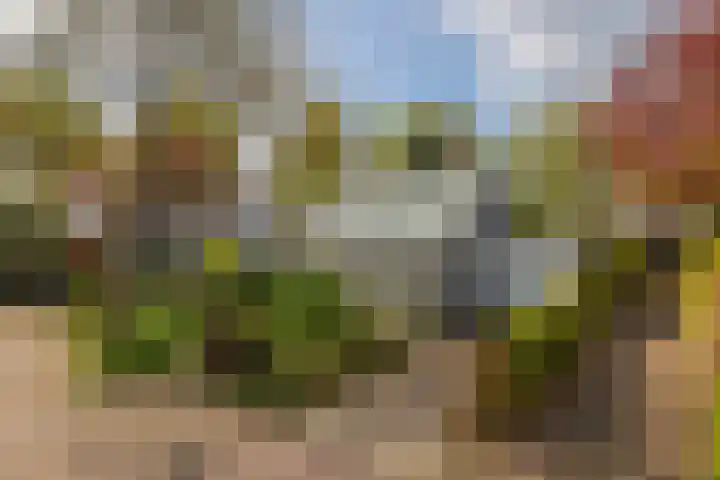 Heer Dickbierweg 57 Mierlo thumbnail 5