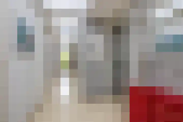 Heer Dickbierweg 57 Mierlo thumbnail 7