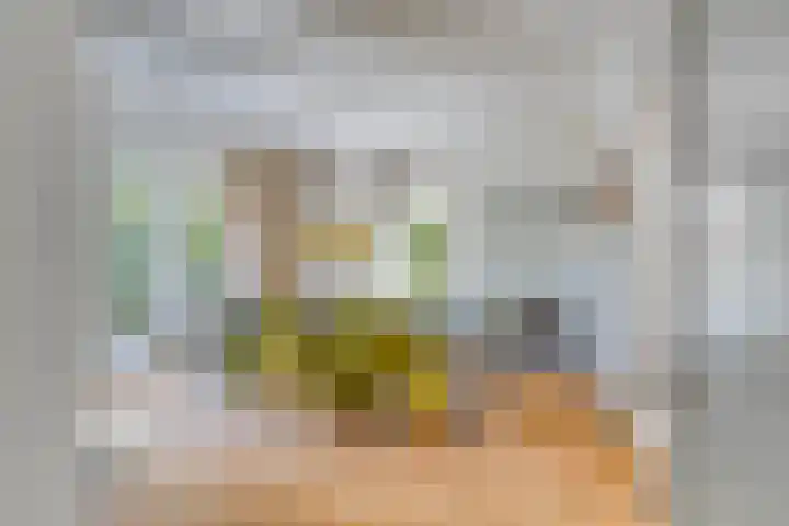 Heerderweg 16 Epe thumbnail 11