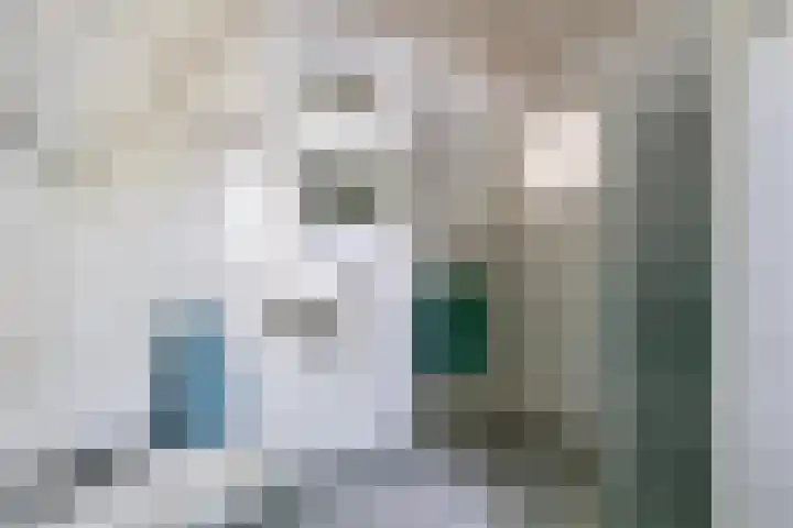 Heerderweg 16 Epe thumbnail 36