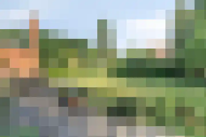 Heerderweg 16 Epe thumbnail 37