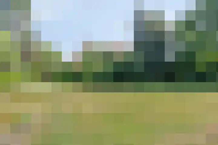 Heerderweg 16 Epe thumbnail 38