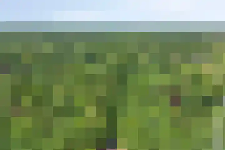 Heerderweg 16 Epe thumbnail 44