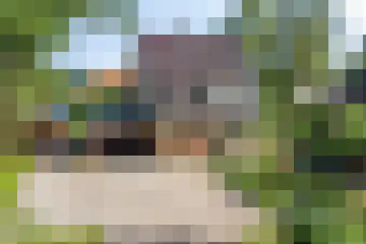 Heerderweg 16 Epe thumbnail 51