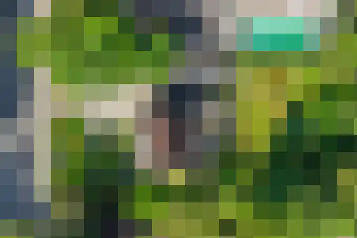 Heerderweg 16 Epe thumbnail 6