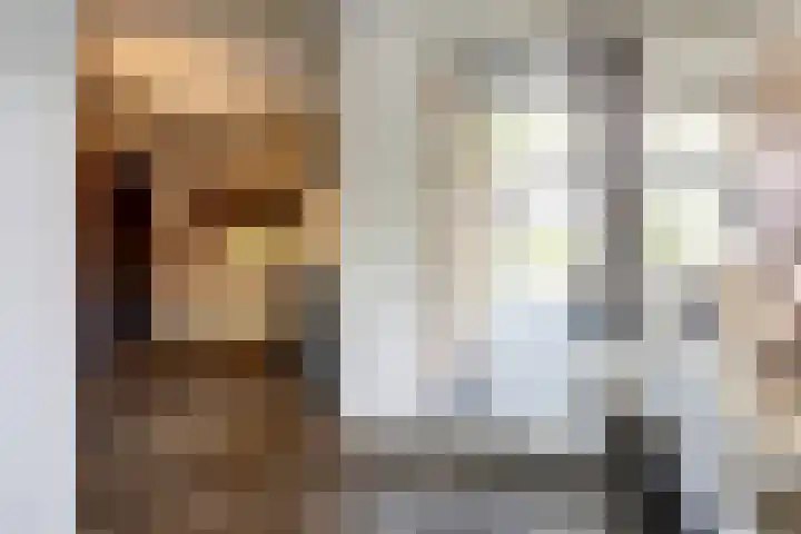 Heerdstraat 19 Sint Joost thumbnail 17