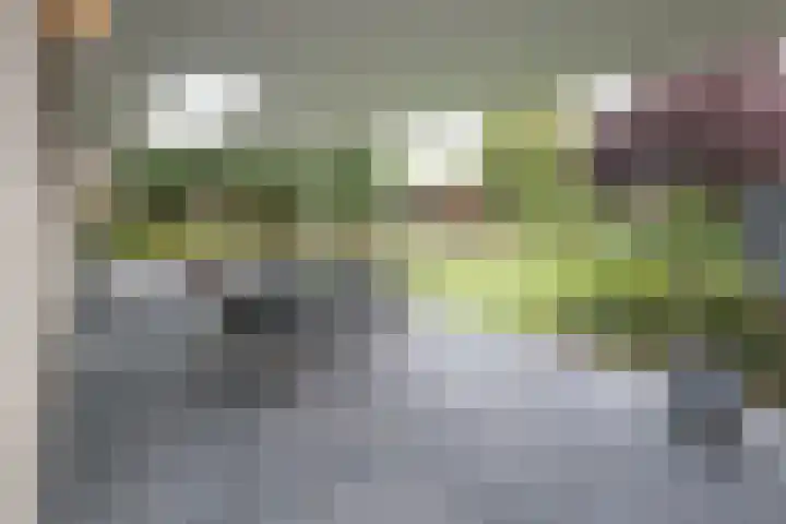 Heerdstraat 45 A Sint Joost thumbnail 5