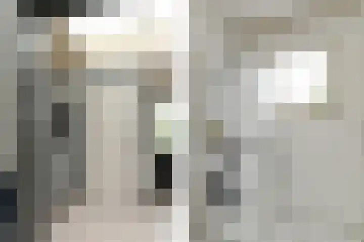 Heerdstraat 45 Sint Joost thumbnail 11
