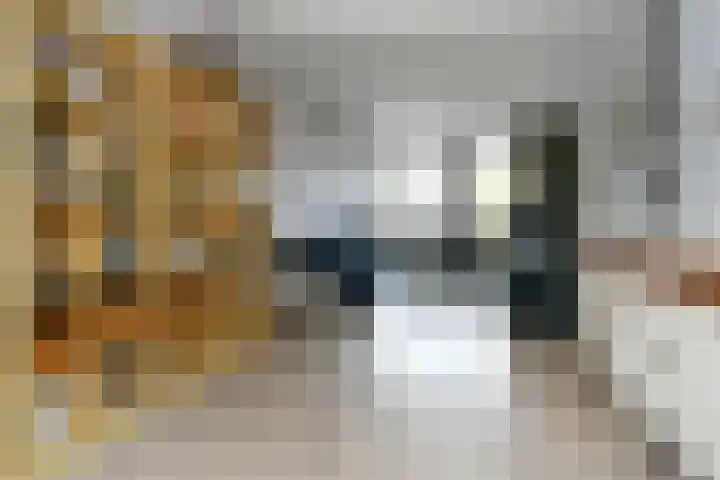 Heerdstraat 45 Sint Joost thumbnail 6