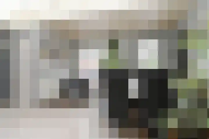 Heerdstraat 45 Sint Joost thumbnail 7