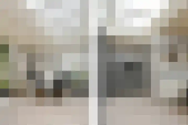 Heerdstraat 45 Sint Joost thumbnail 9