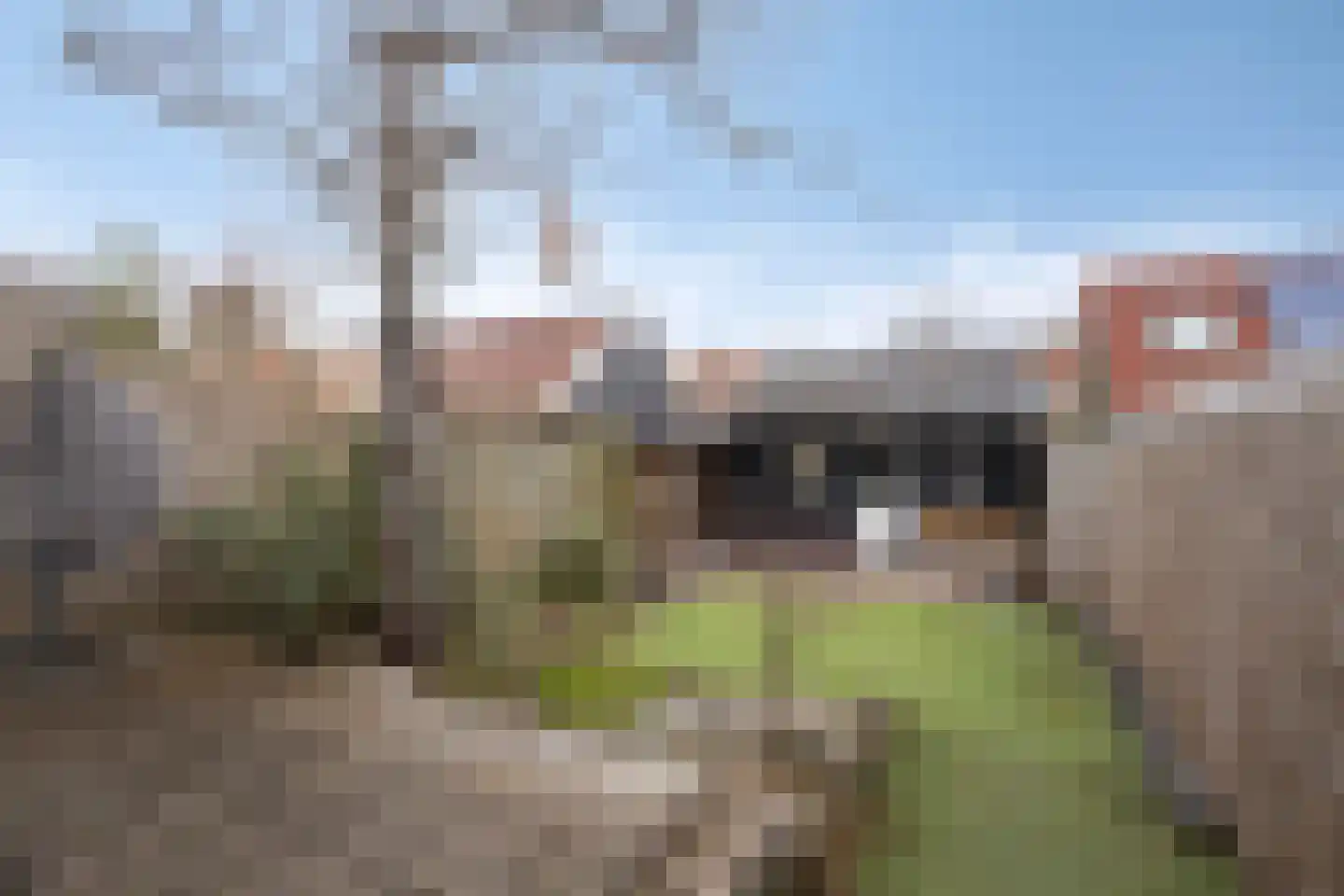 Heerenveenseweg 44 Wolvega thumbnail 29