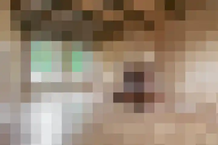 Heerenwal 60 Sloten thumbnail 12