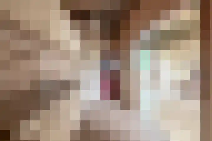 Heerenwal 60 Sloten thumbnail 15
