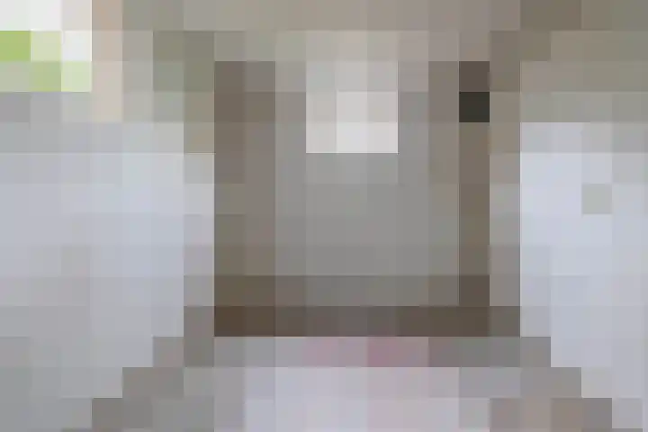 Heerenwal 60 Sloten thumbnail 19